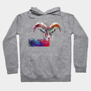 Alpine ibex Hoodie